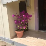 Διαμέρισμα Freddie's Orikum