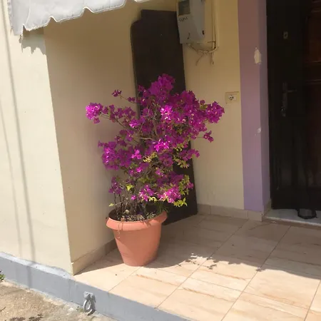 Apartamento Freddie's Orikum