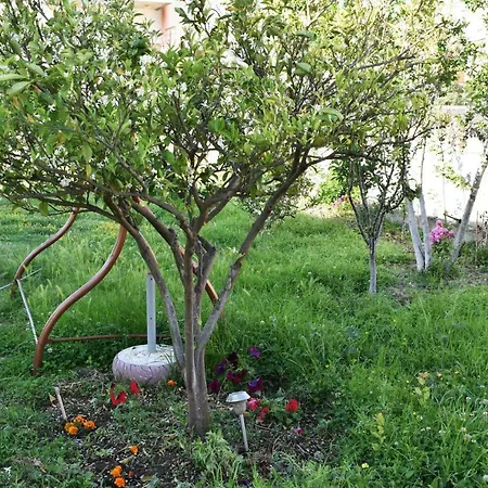 Apartamento Freddie's *